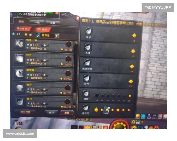 斗战神龙女刺客技能搭配与装备解析全面掌握六大关键要点