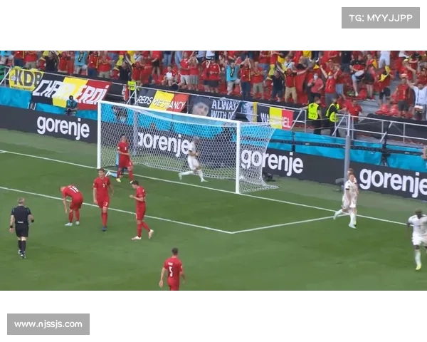 威尔士奇迹之路：2016年欧洲杯半决赛之旅的荣耀与挑战